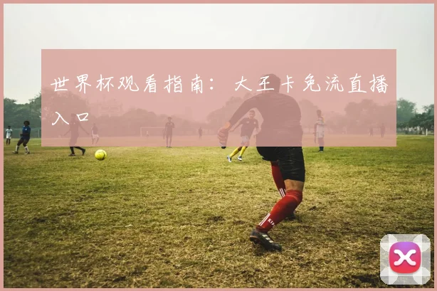 世界杯观看指南：大王卡免流直播入口