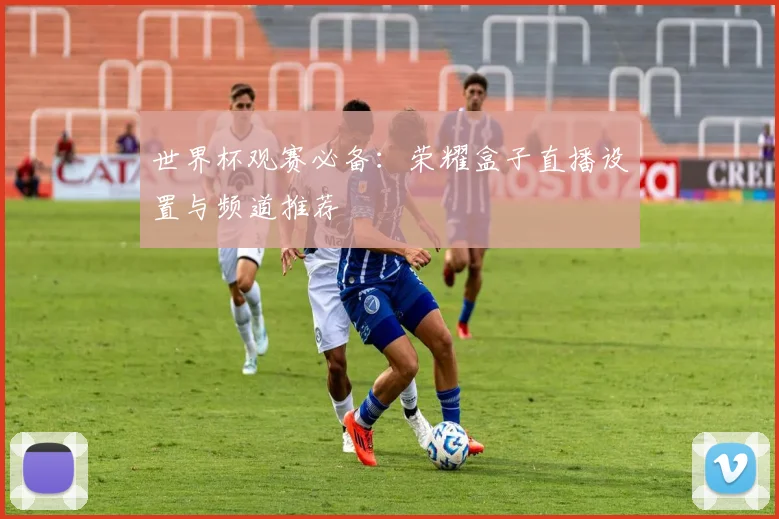 世界杯观赛必备:荣耀盒子直播设置与频道推荐