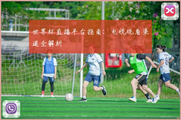 世界杯直播平台指南：电视观看渠道全解析