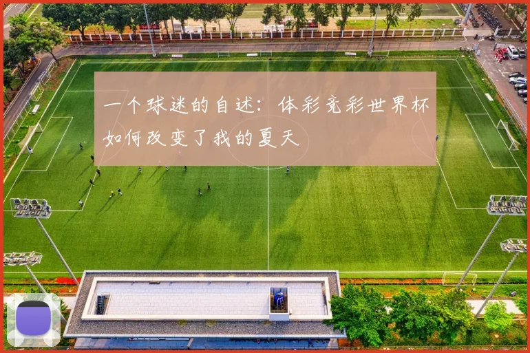 一个球迷的自述：体彩竞彩世界杯如何改变了我的夏天