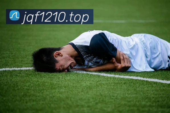 开云app官方入口网页版平台生态图