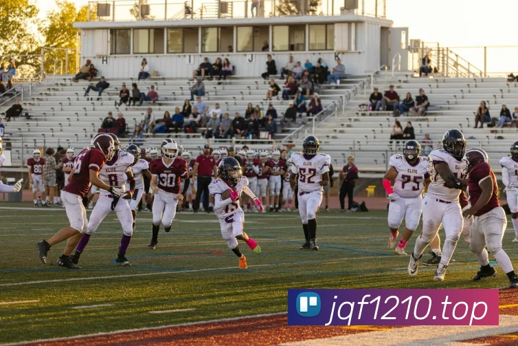 开云app官方入口网页版APP 封面图